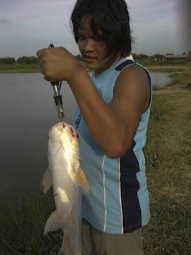 ของเล็กงัดของใหญ่