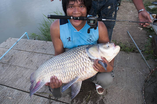 ของเล็กงัดของใหญ่