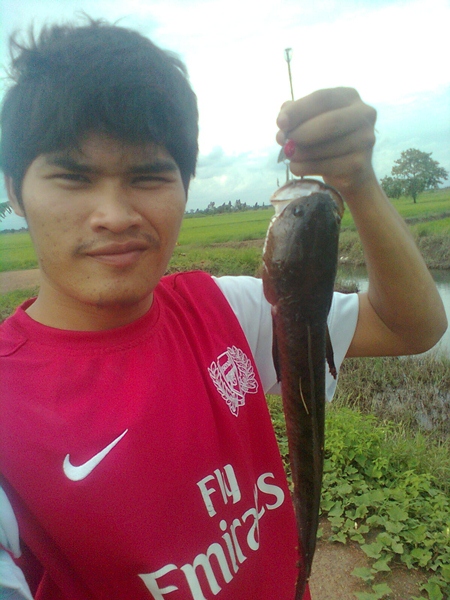 ลองส่งครับ ส่ายกระจาย