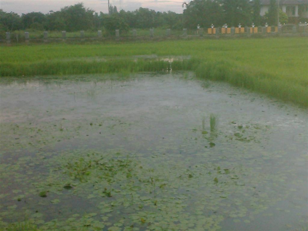 มันๆๆของBY..กะล่อน