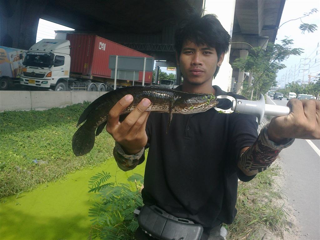 มันๆๆของBY..กะล่อน