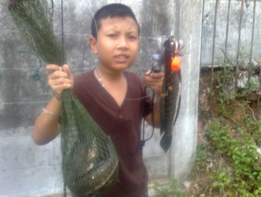 ทริปปลาช่อนริมทางค่ะ
