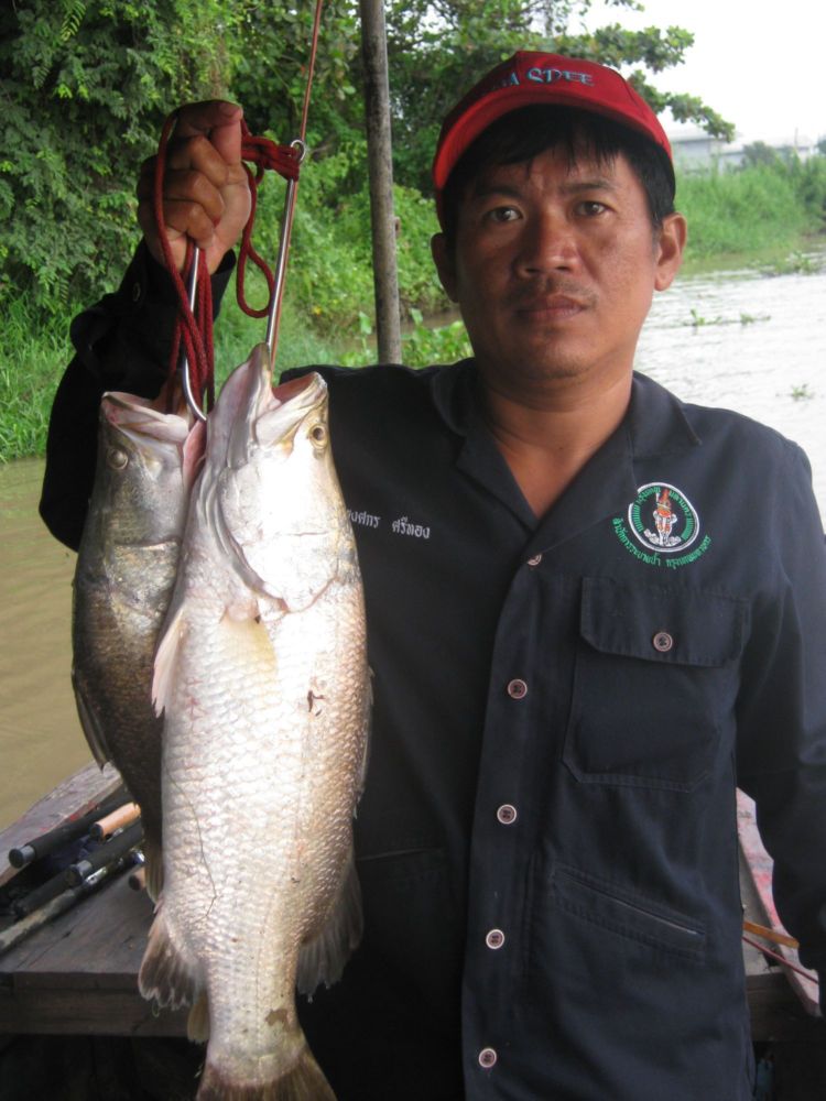 ทดลองส่งครับ