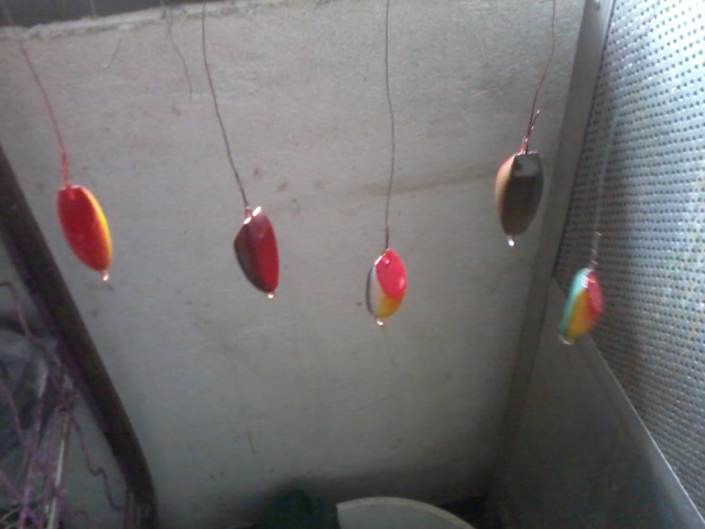 @--ลองซักที--@