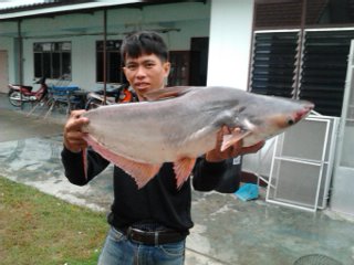 งานหมายธรรมชาติ7