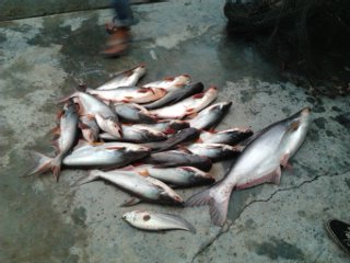 งานหมายธรรมชาติ7