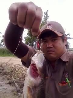 รวมภาพตีเหยื่อปลอม