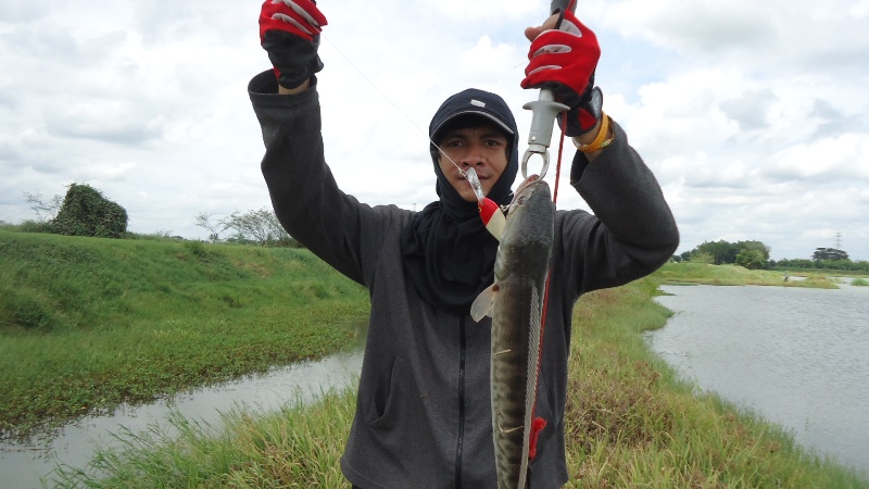 ฉลองรอกใหม่กับการตีจิบ+ทีมงาน M-Fishing