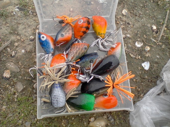 สืบเนื่องจาก