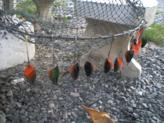 สืบเนื่องจาก