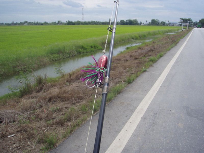 ช่อนธัญญะ+หนองเสือ