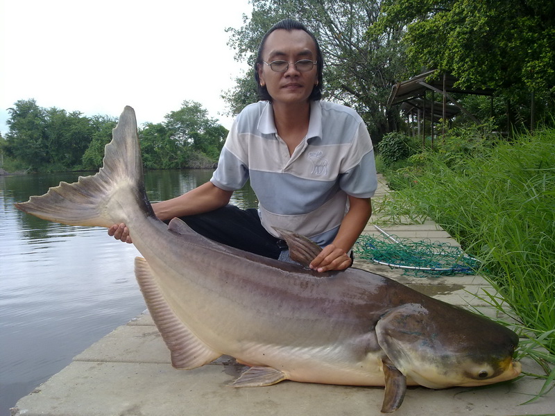 น้าแว่นเงาน้ำ