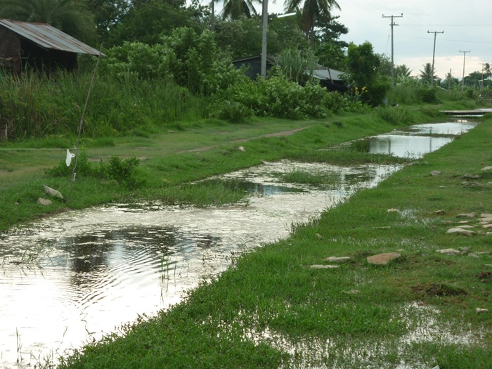   กบ"กัตจัง" มันส์ๆๆๆๆ