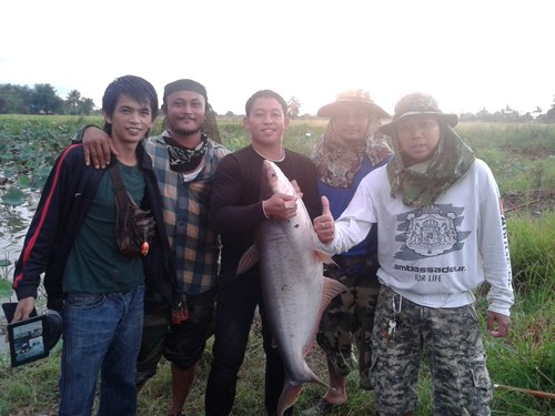 จะเถียงกัน.....ทำไม