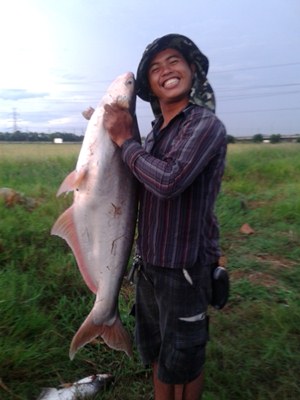 จะเถียงกัน.....ทำไม