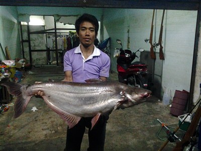 จะเถียงกัน.....ทำไม
