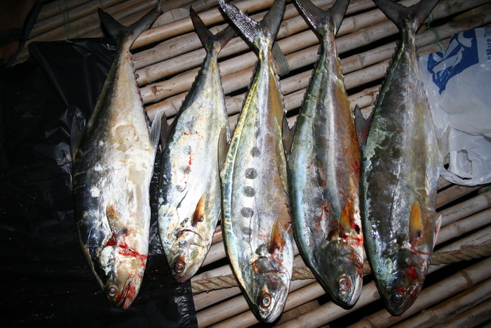 ขาด 2 ที่ ออกเรือ 04.30 น.เช้าวันเสาร์นี้ ครับ