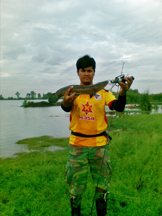 ช่อน โด หมายเดิม By กบอัศวิน......