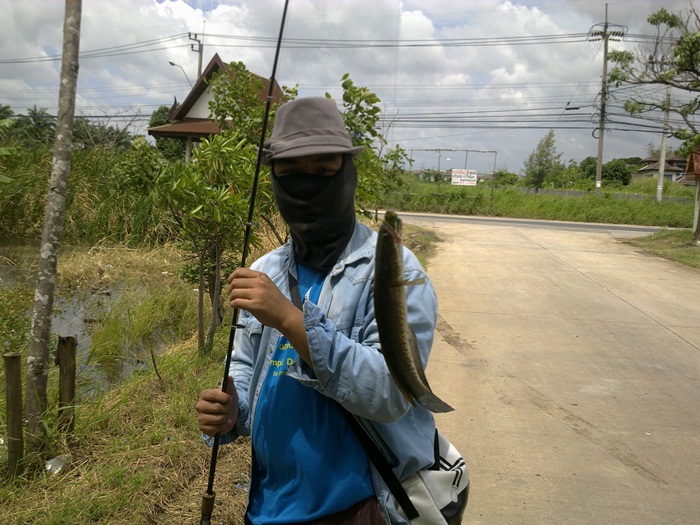 จัดปายช่อนข้างทาง