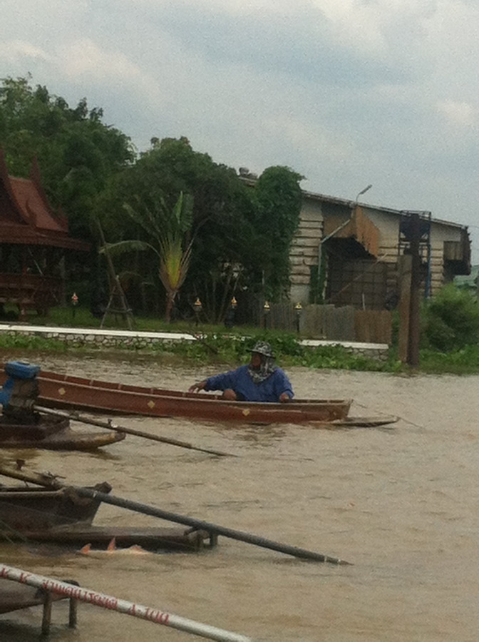 พรานสวายรุ่นให่ญเมืองปทุม