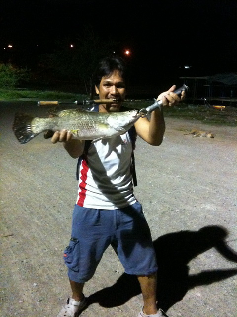 เหยื่อปลอม ทะเล กลางคืนกับกระพง (ศรีราชา)