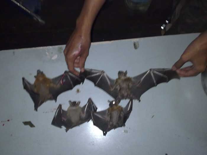รอกลั่นทีม 3 