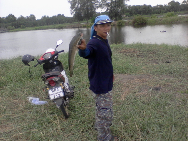 ภาพรวมๆ