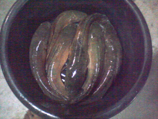 ภาพรวมๆ