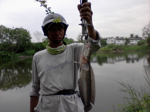 ภาพรวมๆ