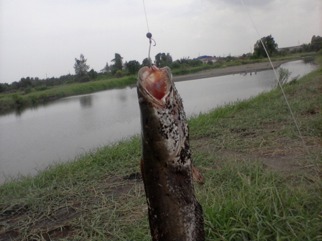 ภาพรวมๆ