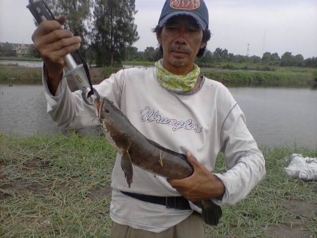 ภาพรวมๆ