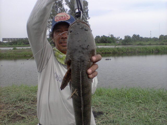 ภาพรวมๆ