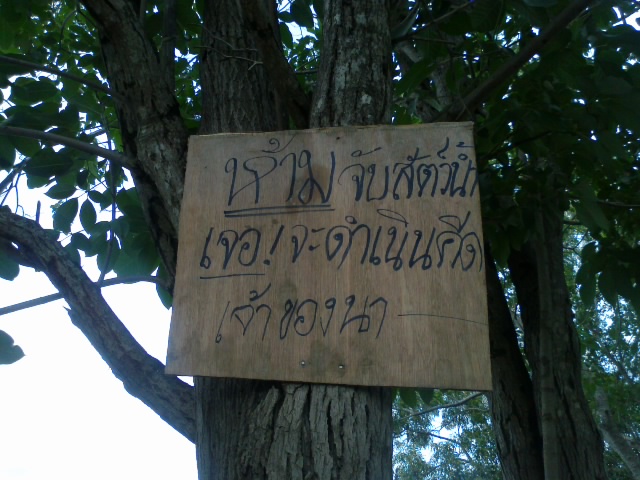 จะเดินหน้าหรือ ถอยดีครับน้าๆ