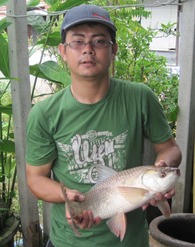 ยี่สกป่าแม่นำน้อย (แยกจากแม่นำท่าจีน อ.บางปลาม้า จ.สุพรรณบุรี)