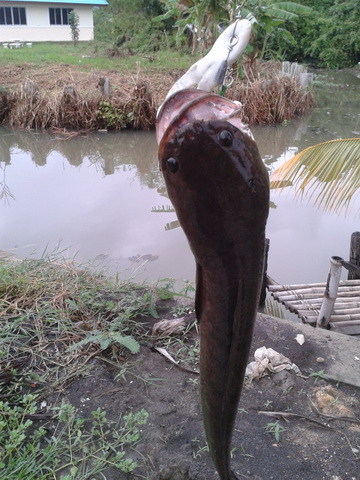 หมายใกล้บ้าน สามพราน