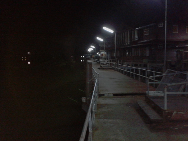 ปลาหลงน้ำ