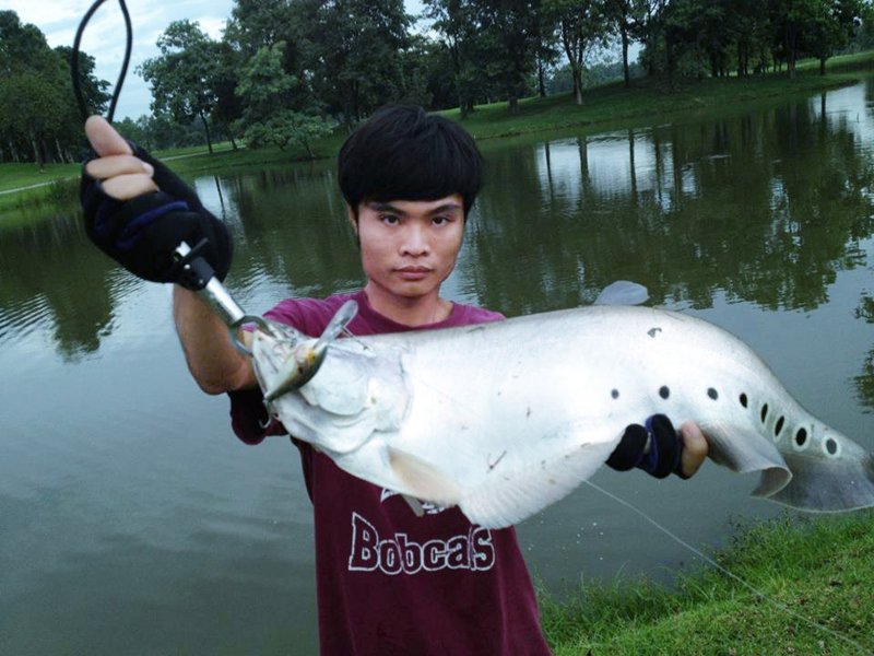 ปลากราย..สนามก๊อฟ!!