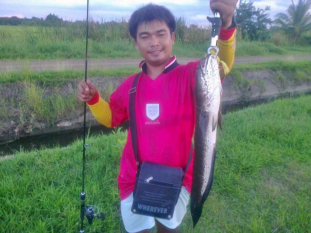 เทสกบเรซิ่น กับช่อนโคราช