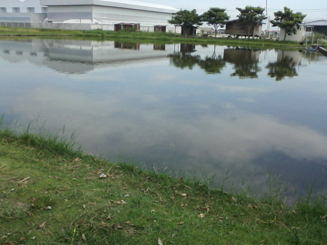 ผลงานเมื่อเช้า เทส Ureka king of soft bait 