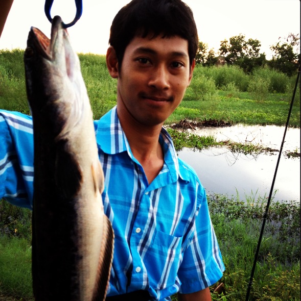 ^^ชะโดๆๆๆ ช่อนๆๆๆ สุพรรณเมื่อวานและวันนี้ ^^