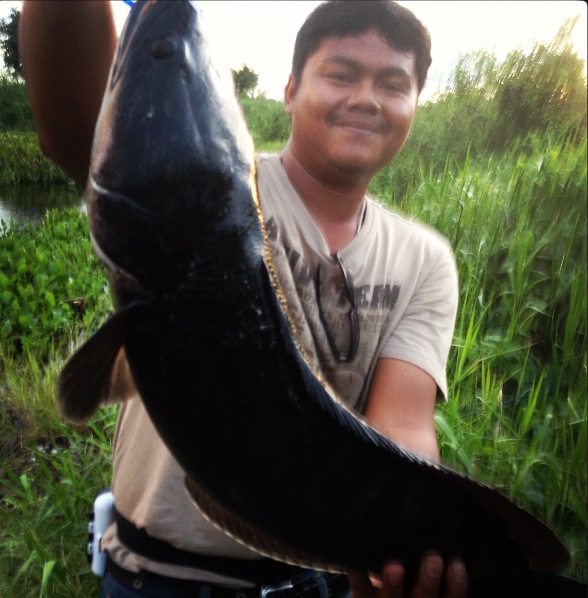 ^^ชะโดๆๆๆ ช่อนๆๆๆ สุพรรณเมื่อวานและวันนี้ ^^