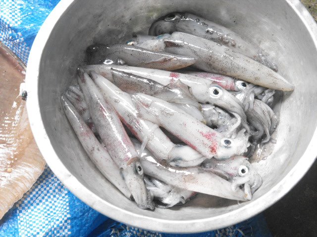 ที่ ท่าชนะ ครับ 