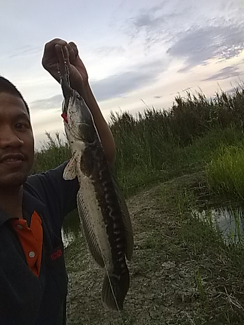 ก่อนที่น้ำจะท่วม ต้องรีบ