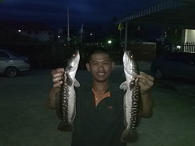 ก่อนที่น้ำจะท่วม ต้องรีบ