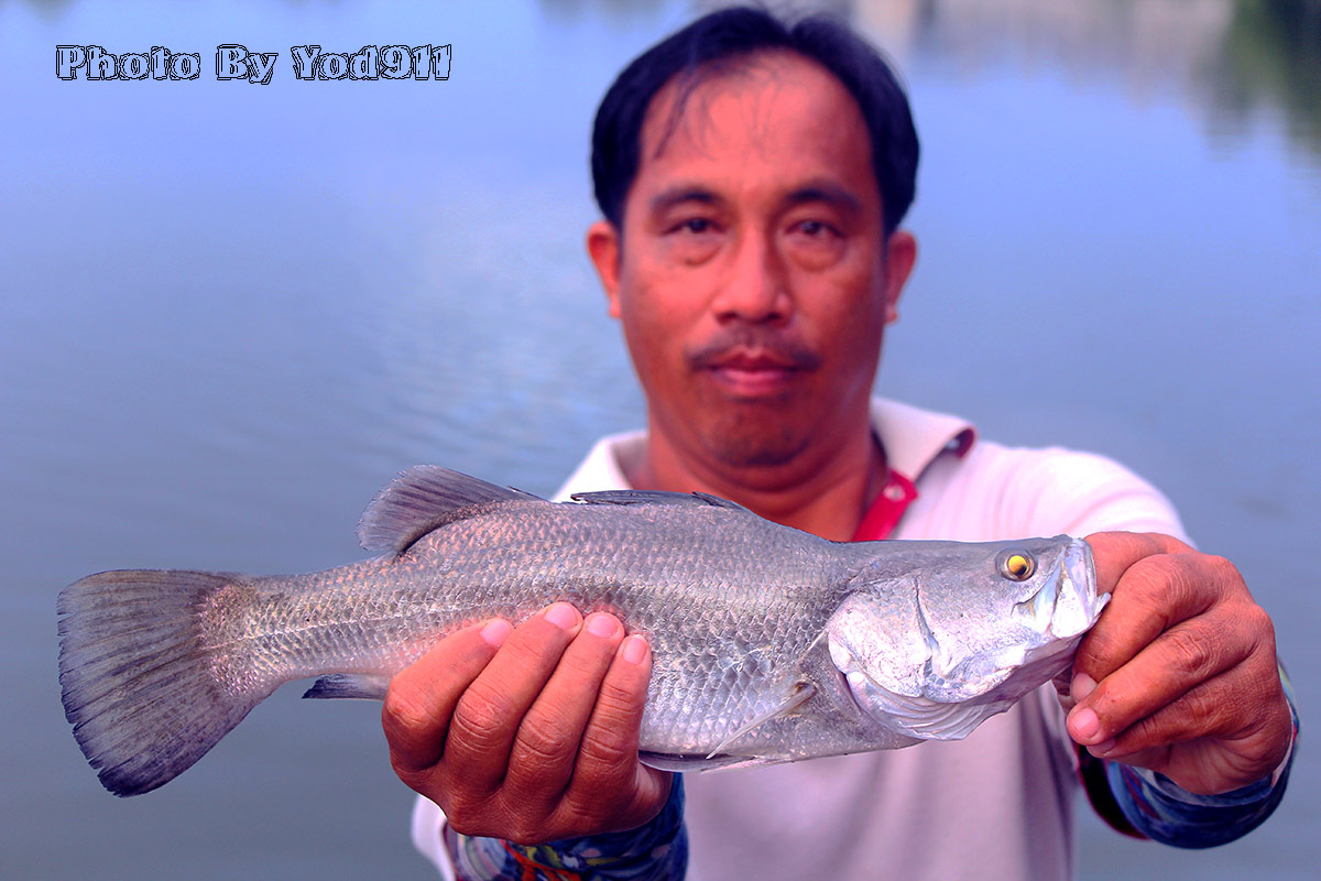 ไปมาวันนี้ที่บึงใหญ่ 80 ไร่