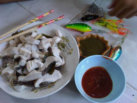 ปลาสนามกอฟ กัดกระจาย15