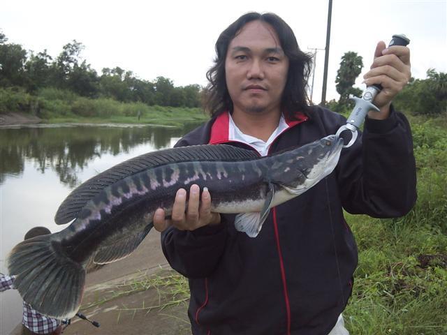 ไป3ได้1