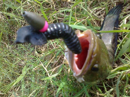 ครั้งแรกกับ Texas