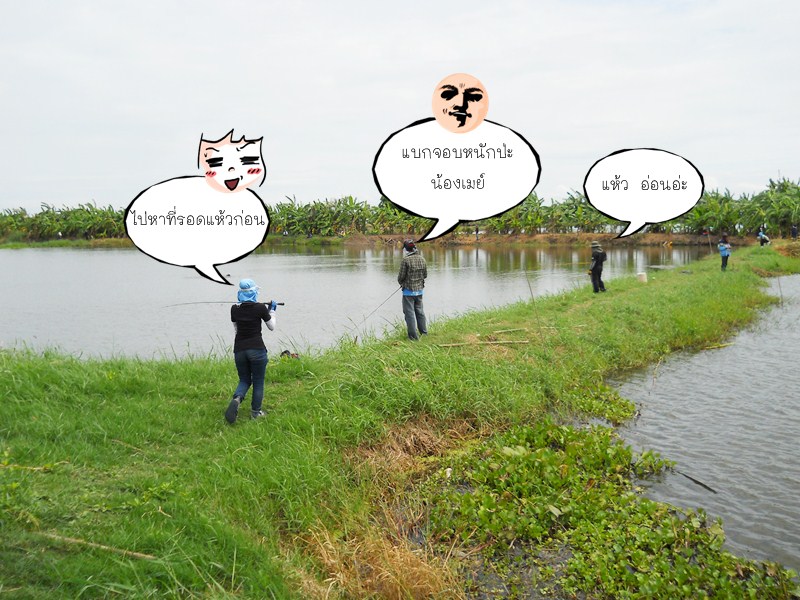เรียกร้องก็ จัดซ้ำให้ครับ ปลาช่อน ใหญ่ พานทอง
