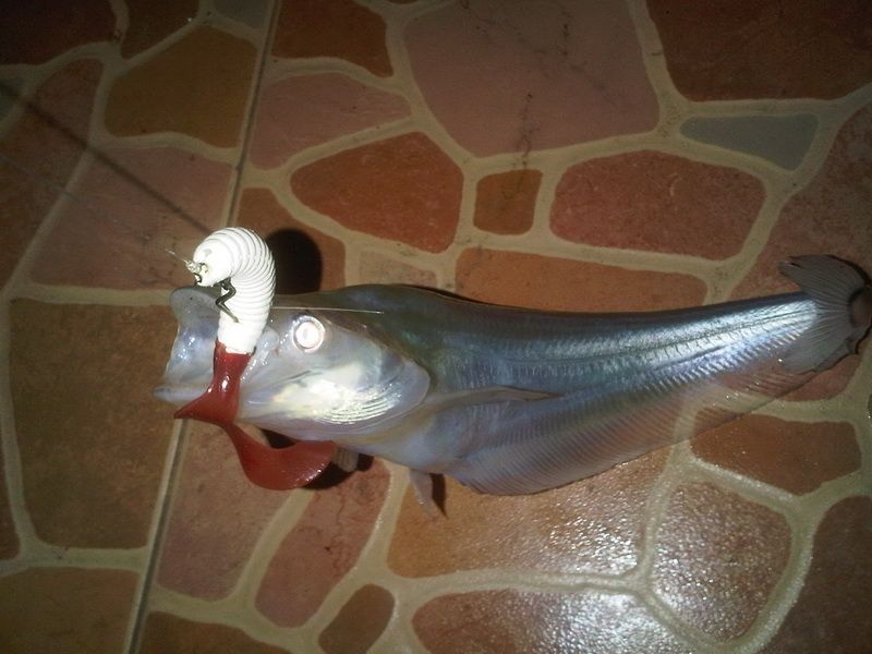 แดงหรือน้ำเงิน